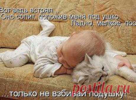 ๑۩۩๑...ЖИЗНЬ ХОРОША, иɯʎdʞ ин ʞɐʞ...๑۩۩๑. Добавлены 6 фотографий в альбом ОНИ ТАКИЕ МИЛЫЕ... (братья наши...