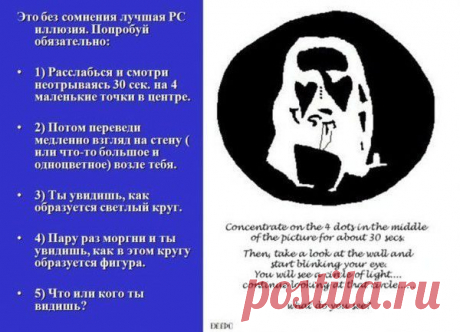 Фотографии ✿ܓЕлена Н. - 7164 фото в Моем Мире.