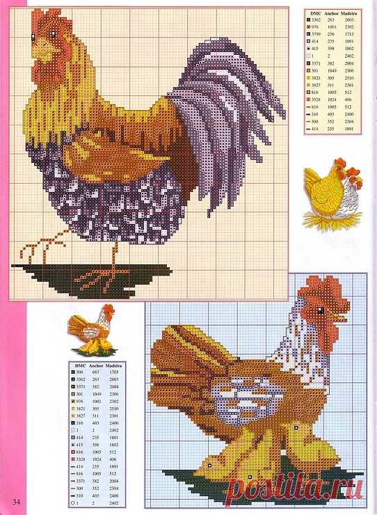 Gallery.ru / Фото #26 - Петухи - irisha-ira