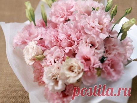 Интересные новости