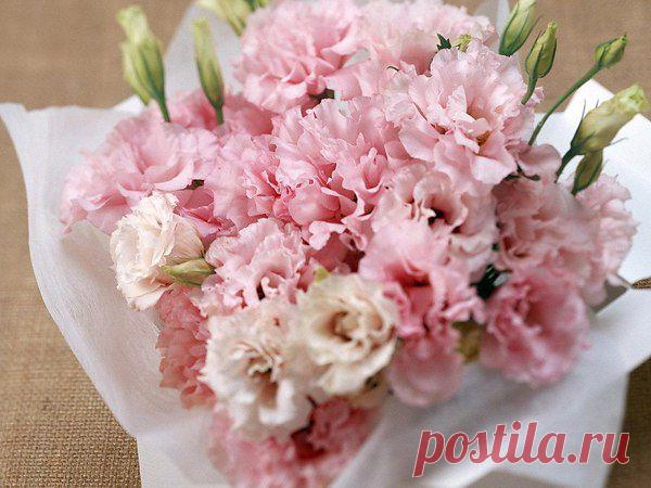 Интересные новости