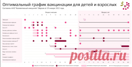 Прививки взрослым: какие нужны и как сделать их бесплатно в 2023 году