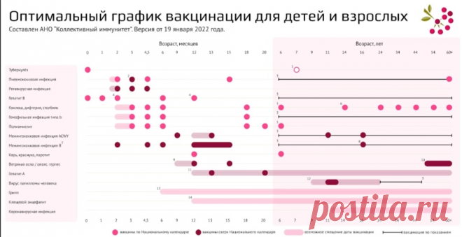 Прививки взрослым: какие нужны и как сделать их бесплатно в 2023 году
