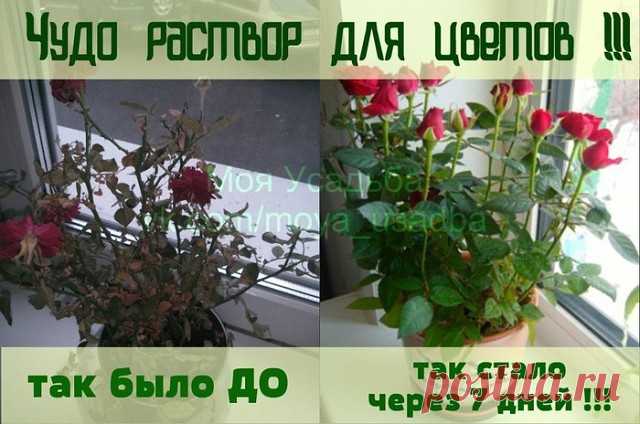 (52) Одноклассники