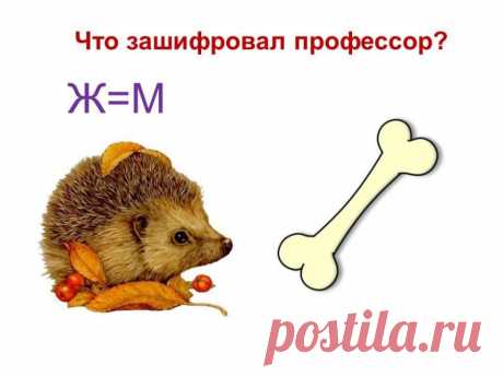 РЕБУСЫ — Шоу сумасшедшего профессора Николя