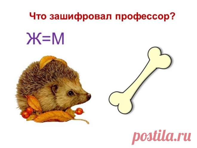 РЕБУСЫ — Шоу сумасшедшего профессора Николя