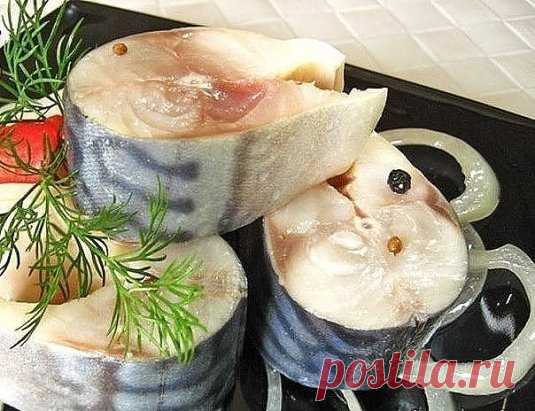 В таком маринаде скумбрия не уступает по вкусу красной рыбе
Ингредиенты:
- Скумбрия (замороженная, разморозить) 2 шт
- лук репчатый по вкусу
- вода 250 мл
- гвоздика 6 шт
- перец горошком шепотка
- перец душистый молотый 1/3 ч л
- зерна кориандра шепотка
- соль 2 ч л
- сахар 0,5 ч л
- масло подсолнечное 2 ст л
- уксус яблочный 2,5 ст л
Приготовление:
1. Скумбрию почистить, порезать на кусочки.
2. Воду вскипятить, добавить туда соль, сахар, гвоздику, перец горошком и молотый, кориандр, масло, кип