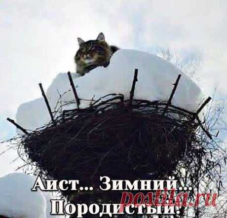 (5) Алексей Жадан