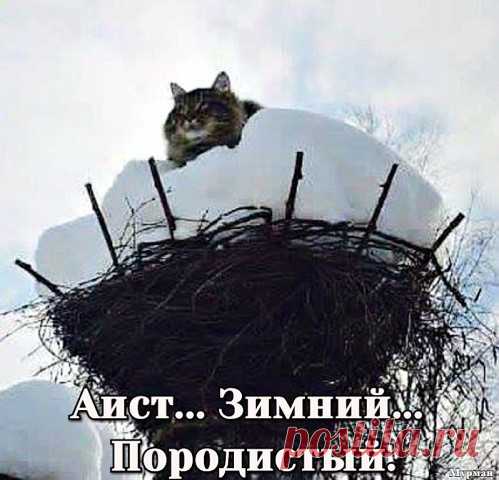 (5) Алексей Жадан
