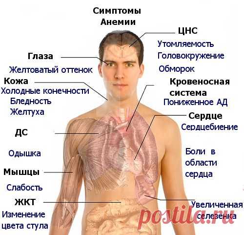 Есть ли у вас анемия: признаки и решения проблемы | Я ЗДОРОВ!