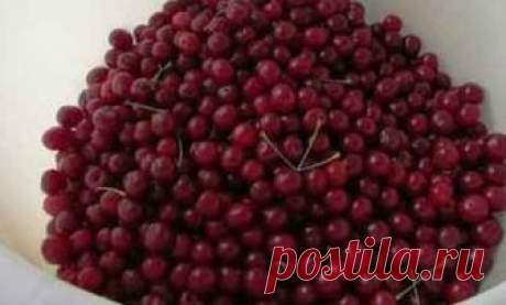 Вишня в собственном соку: лучший рецепт на зиму