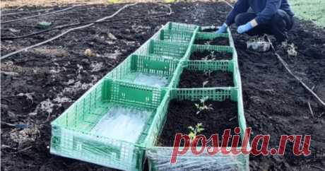 Парнички и высокие грядки — два в одном. Своими руками и за копейки - Идеальная хозяйка