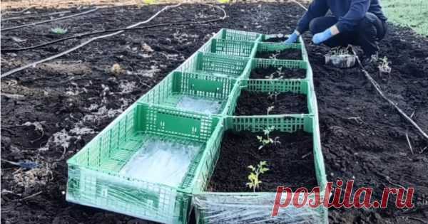 Парнички и высокие грядки — два в одном. Своими руками и за копейки - Идеальная хозяйка