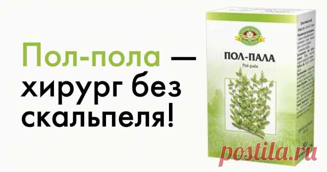 Пол-пола — хирург без скальпеля! Без преувеличения можно сказать: пол-пола способна заменить целую аптеку.