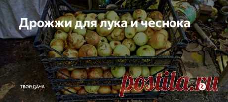 Поставьте пожалуйста лайк, и нажмите на колокольчик чтобы видеть оповещения про новые записи в группе.
#сад #огород #дом #растения #удобрения