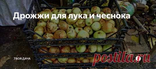 Поставьте пожалуйста лайк, и нажмите на колокольчик чтобы видеть оповещения про новые записи в группе.
#сад #огород #дом #растения #удобрения
