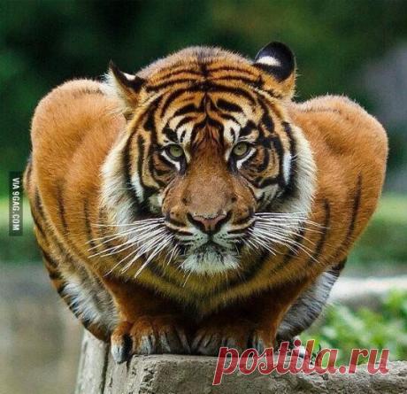 Интересные новости