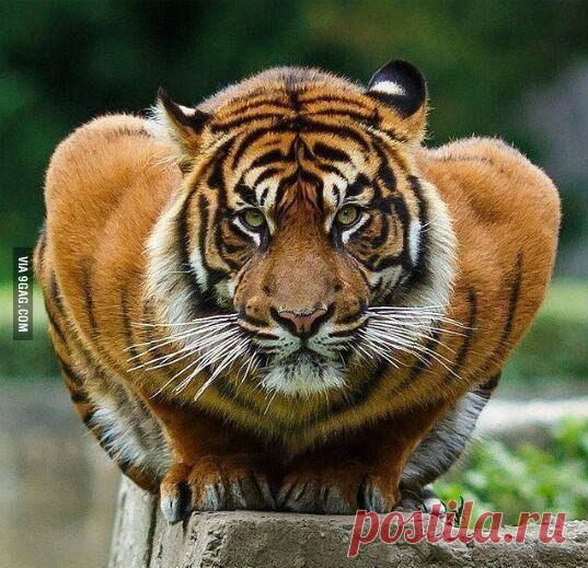 Интересные новости