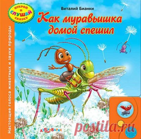 ВИТАЛИЙ БИАНКИ 

Бианки В. В. (1894 - 1959) — один из самых любимых, добрых и гуманных детских писателей о жизни неподражаемого мира животных. Он был лучшим русским писателем анималистом советского периода. "Переводчики с бессловесного" — так называл он себя и своих соратников, писателей о жизни животных.
Показать полностью…