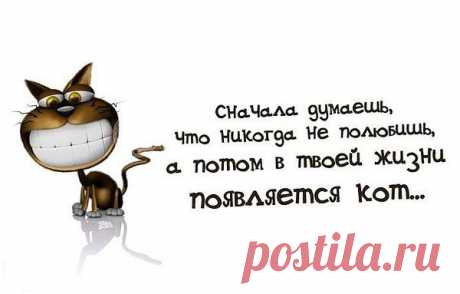 Интересные новости