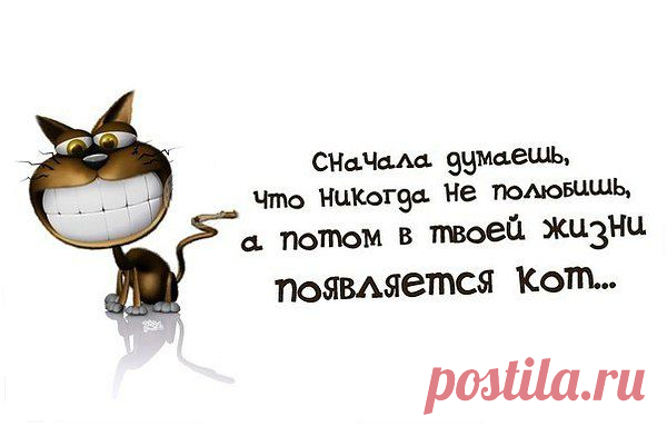 Интересные новости