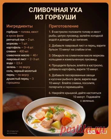 Сливочная уха из горбуши