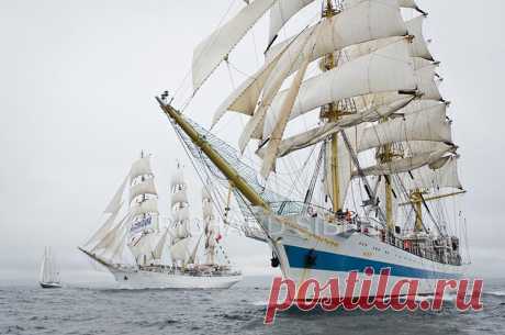 Альбом 19 «Галерея 19« Tall Ship расы