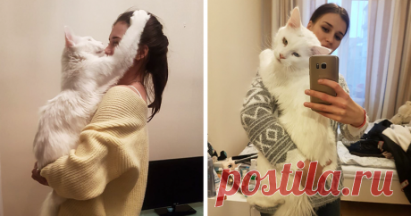 Этот мэйкун просто обожает обнимашки! | Чёрт побери