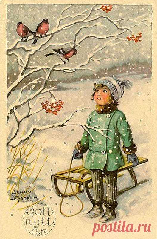 0_e64c3_26c0aca8_orig.jpg (527×800)