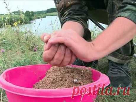 Рыбак Рыбаку 455 &quot;Толстолобик и амур&quot;.