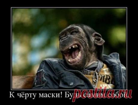 Время идет | Обхохочешься