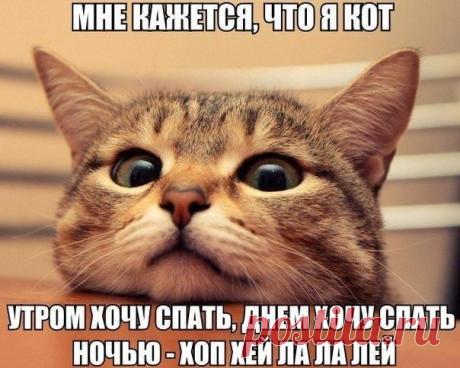 Мой Мир@Mail.Ru