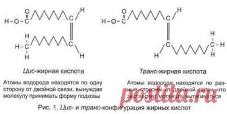 Природные жиры и омега-3 жирные кислоты для здорового сердца : Медицинский блог врача скорой помощи