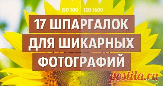 17 шпаргалок, которые помогут делать шикарные фотографии В своей школе фотографов компания Nikon сделала крутую инфографику, в которой объясняются элементарные вещи о процессе фотосъемки. Их советами стоит воспользоваться. 