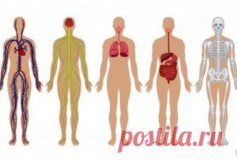 Полный список нормальных лекарств, которые должны быть у вас дома! На все случаи жизни
 

I. Для глаз.
 
1. Зовиракс — мазь от вирусного конъюнктивита.
2. Квинакс — профилактическое средство при катаракте.
3. Корнерегель — восстанавливает слёзную плёнку на роговице г…