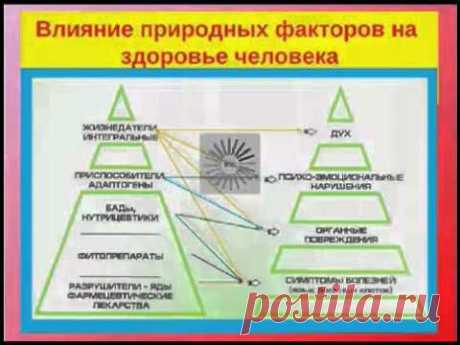В чем тайна Тибетского долголетия? Эндорфинотерапия.