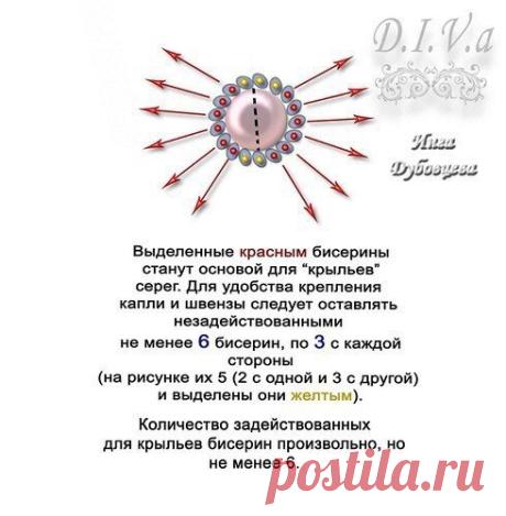 Фотографія