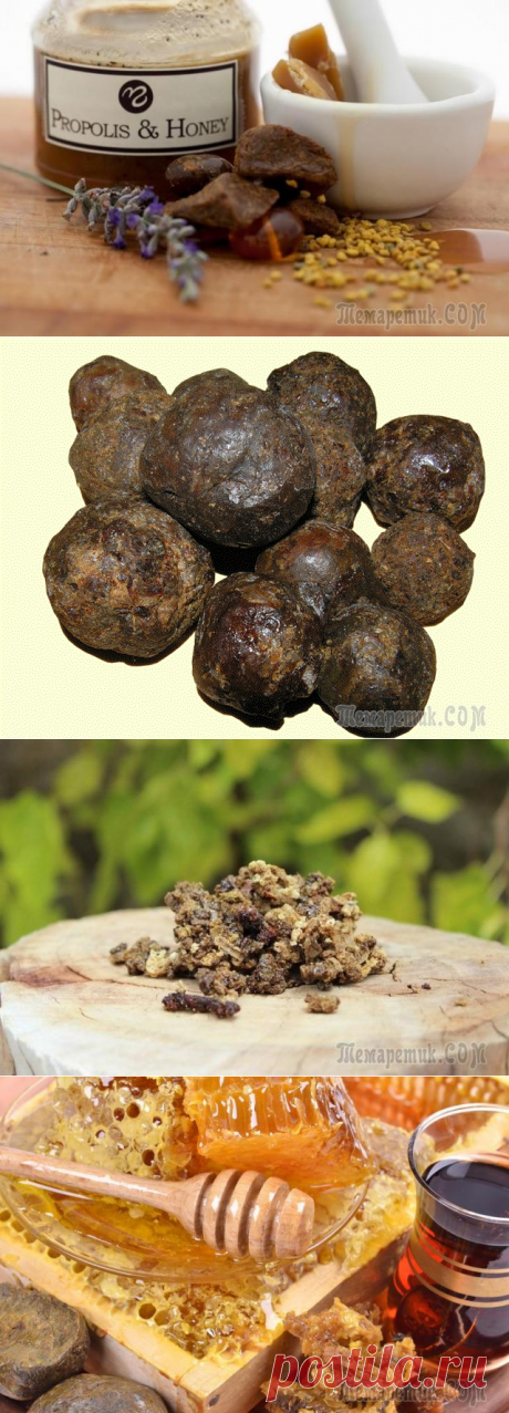 Прополис: свойства, применение, противопоказания