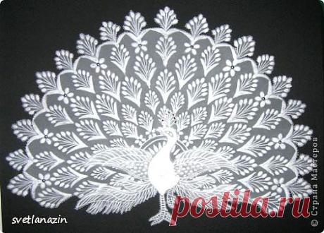 Павлин | Страна Мастеров