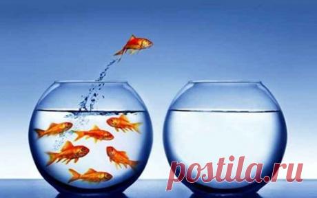 Существует очень тонкая грань между уверенностью и самоуверенностью. Уверенность же – это не желание быть замеченным окружающими в ожидании положительной оценки того, как хорошо мы говорим, думаем или действуем. Уверенность – это внутреннее состояние человека.