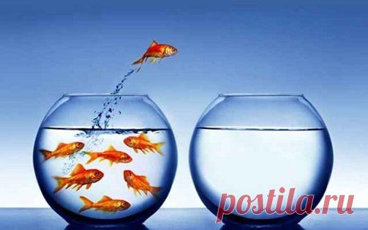 Существует очень тонкая грань между уверенностью и самоуверенностью. Уверенность же – это не желание быть замеченным окружающими в ожидании положительной оценки того, как хорошо мы говорим, думаем или действуем. Уверенность – это внутреннее состояние человека.