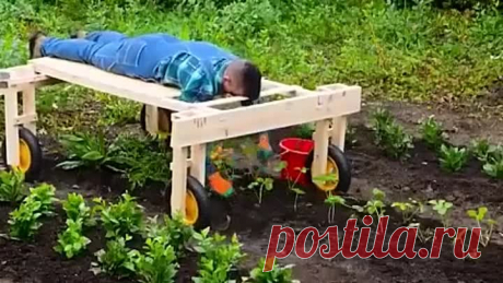 Видео Лучшие дачные идеи | OK.RU