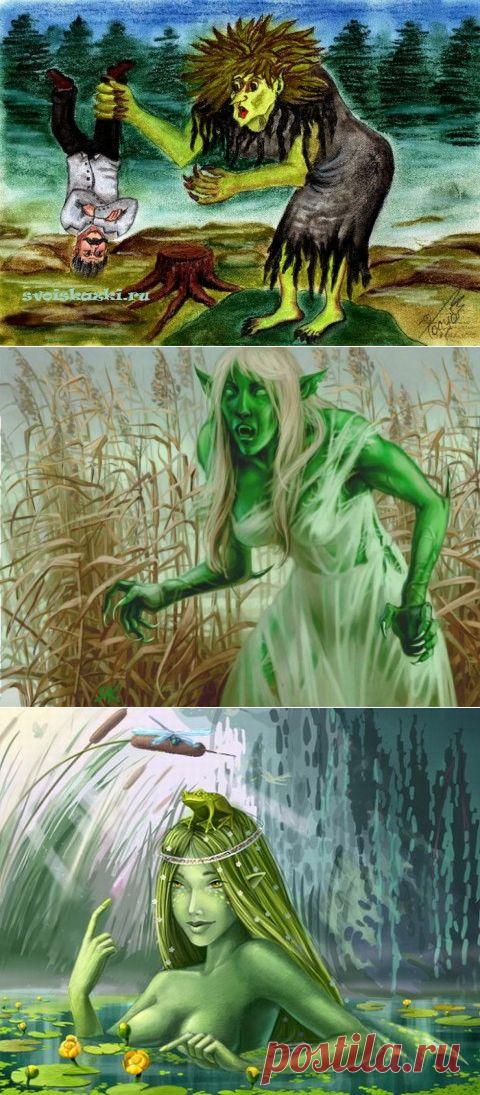 Встречайте, - русская кикимора!