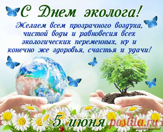Мы всех, кто причастен к охране природы,
Поздравить сегодня должны.
Мы скажем «спасибо» за вашу заботу,
Дела ваши очень важны.