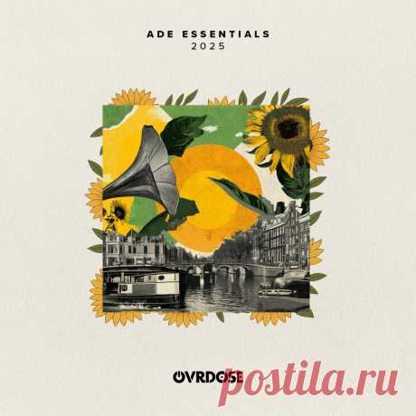 VA - OVRDOSE ADE ESSENTIALS 2025 OVR050 FLAC » MinimalFreaks.co
