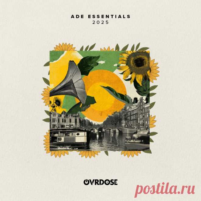 VA - OVRDOSE ADE ESSENTIALS 2025 OVR050 FLAC » MinimalFreaks.co