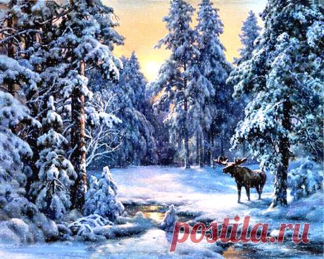 winter_04.jpg (1280×1024)