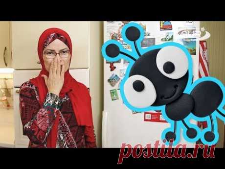 Как избавиться от муравьёв в доме? НОВЫЕ ЛАЙФХАКИ