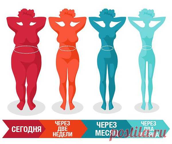 ПРАВИЛА ПОХУДЕНИЯ, КОТОРЫЕ ДОЛЖНА ЗНАТЬ КАЖДАЯ ЖЕНЩИНА 