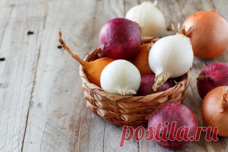 Чем отличается белый лук от обычного и какие сорта вырастить на даче